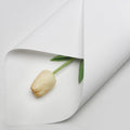 White floral paper